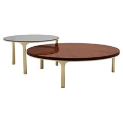 Step Set of 2 Coffee Table
