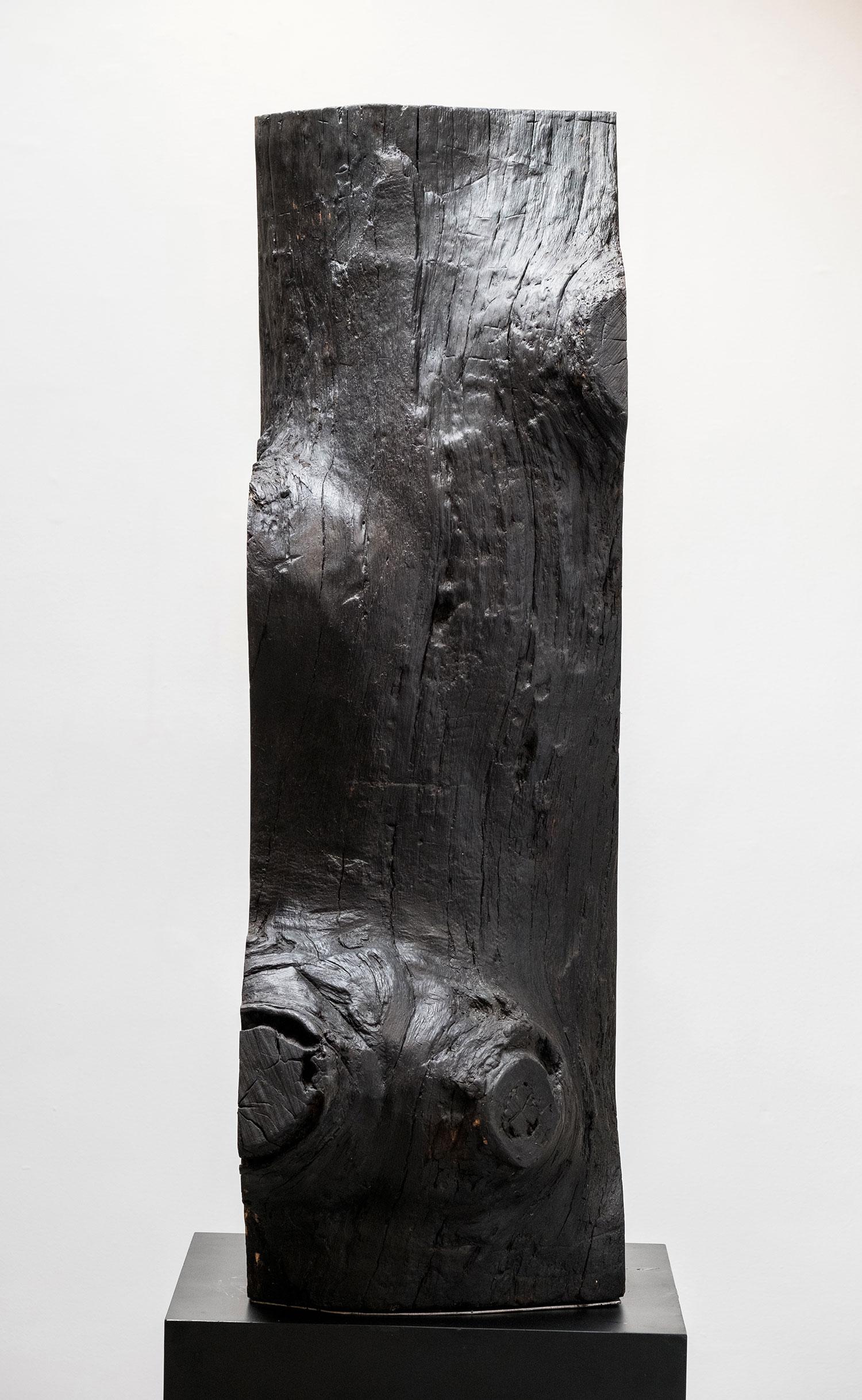Sculpture in oak and metal.
