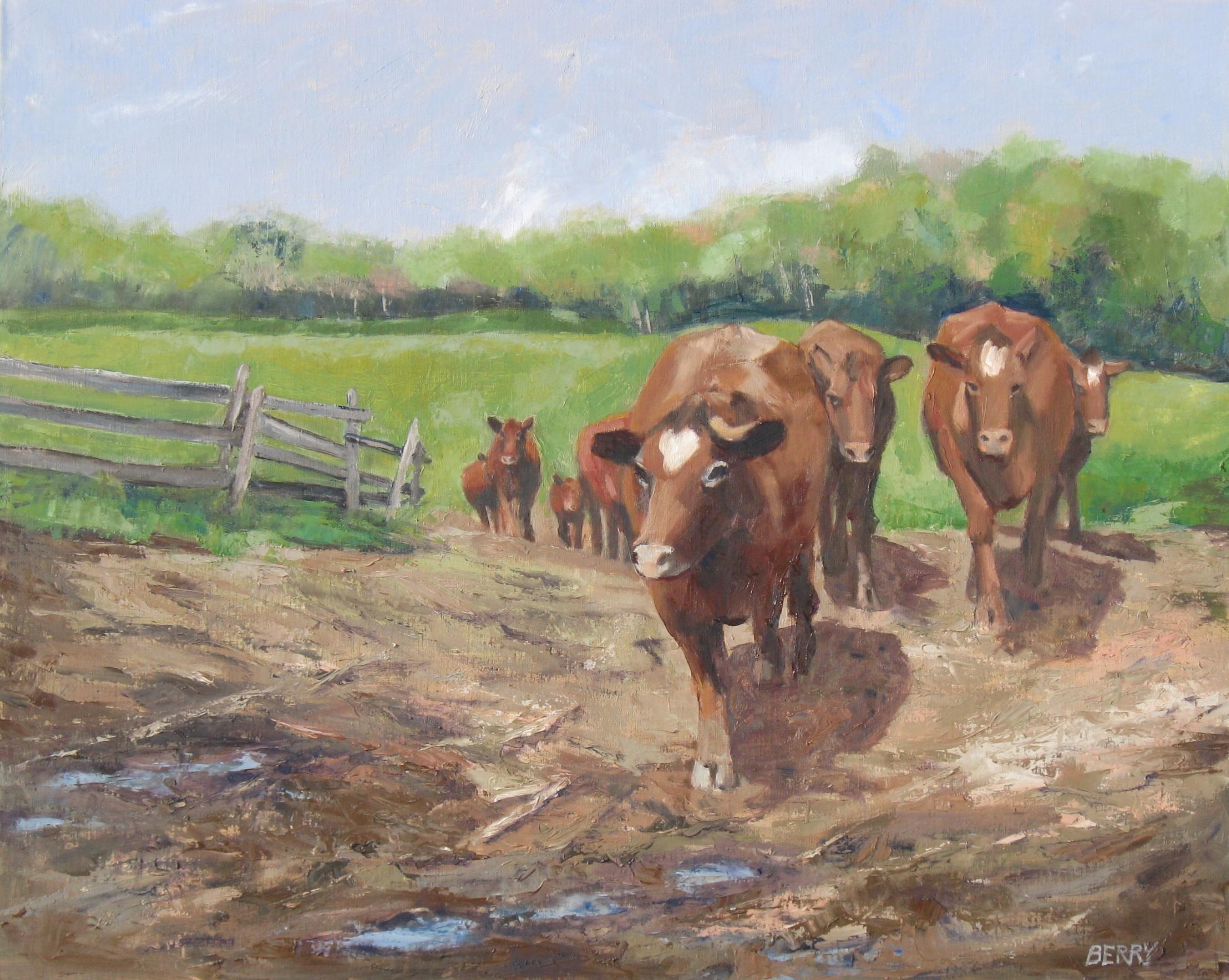 berry cows