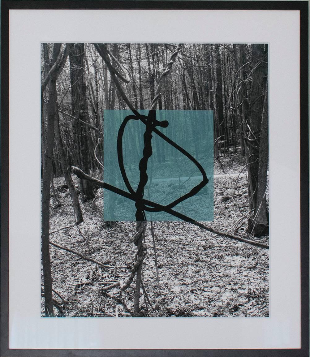 Light Blue Square (Contemporary Landscape w/ Lyrical Vines and Geomteric Shape) - Photograph by Stephanie Blumenthal