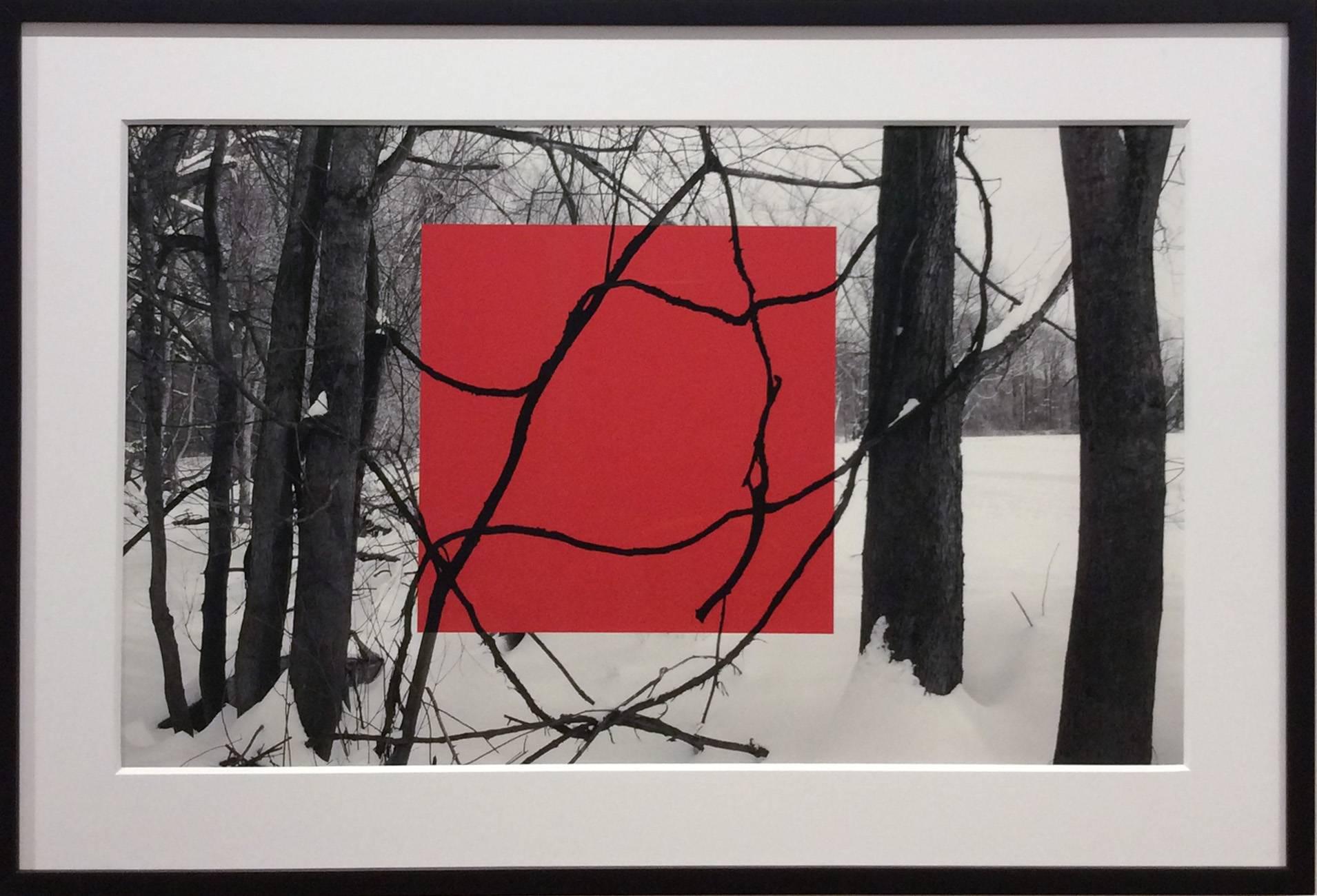 Red Square (Modern Abstract B&W Gestural Tree Outlines with Graphic Red Square) - Photograph by Stephanie Blumenthal