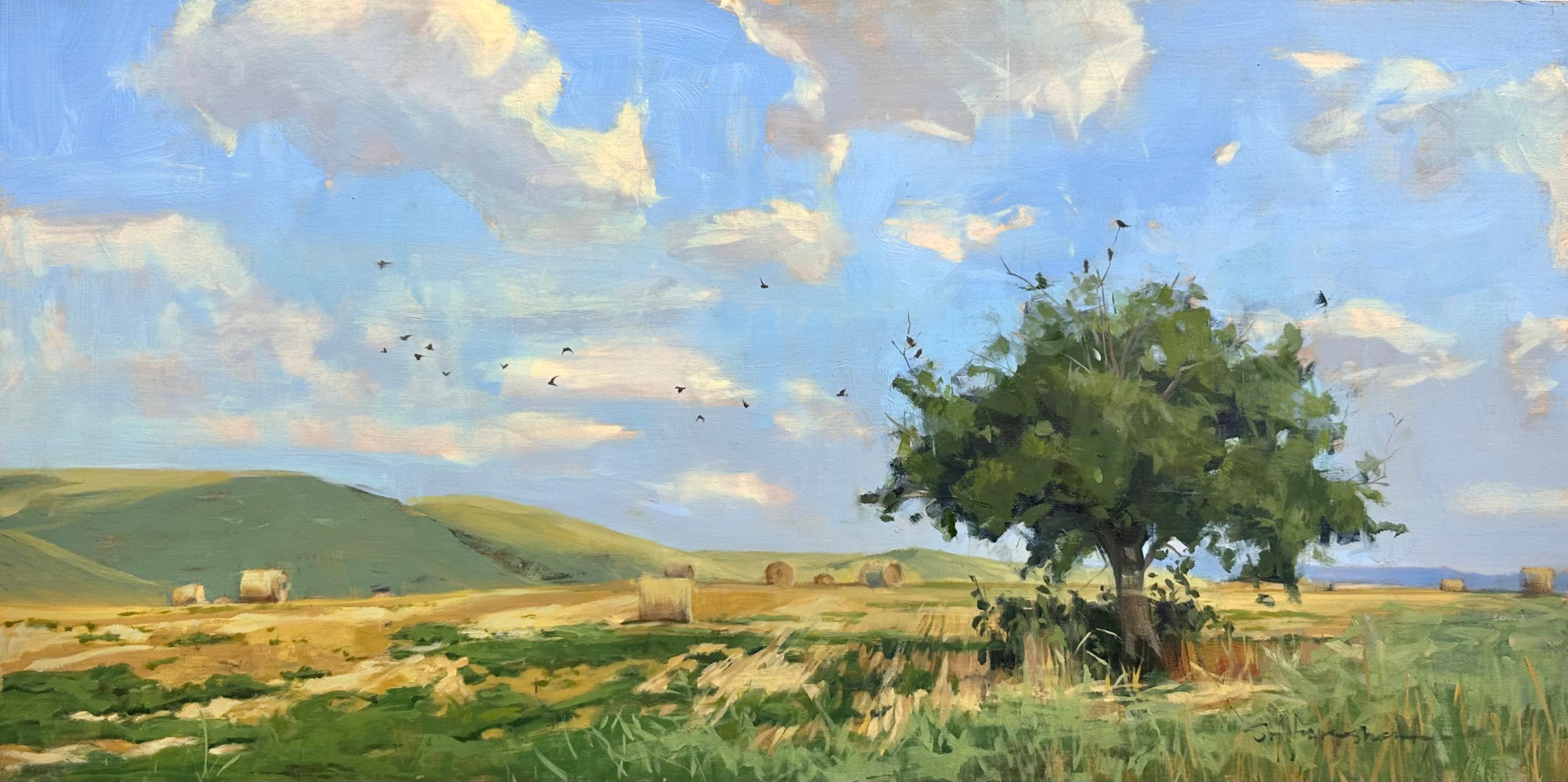 "Harmony" (2024), peinture à l'huile originale d'un paysage des plaines du Midwest