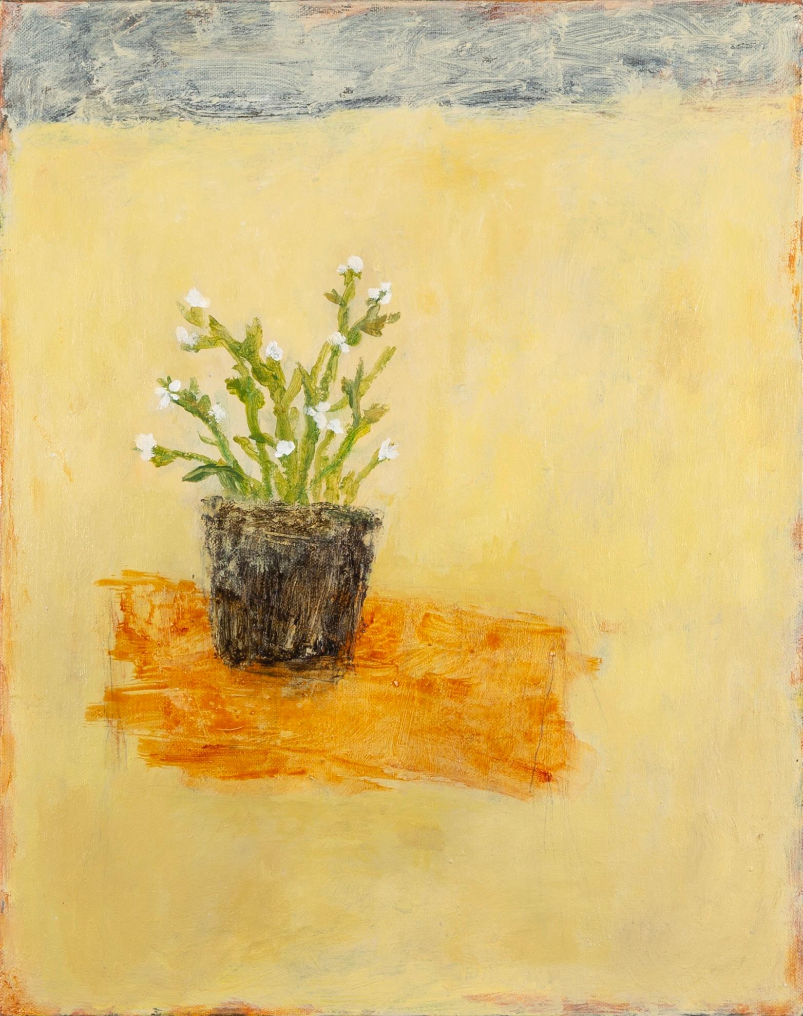 Stephanie Richards Edelweiss, Still Life of Pot of Flowers, Oil
