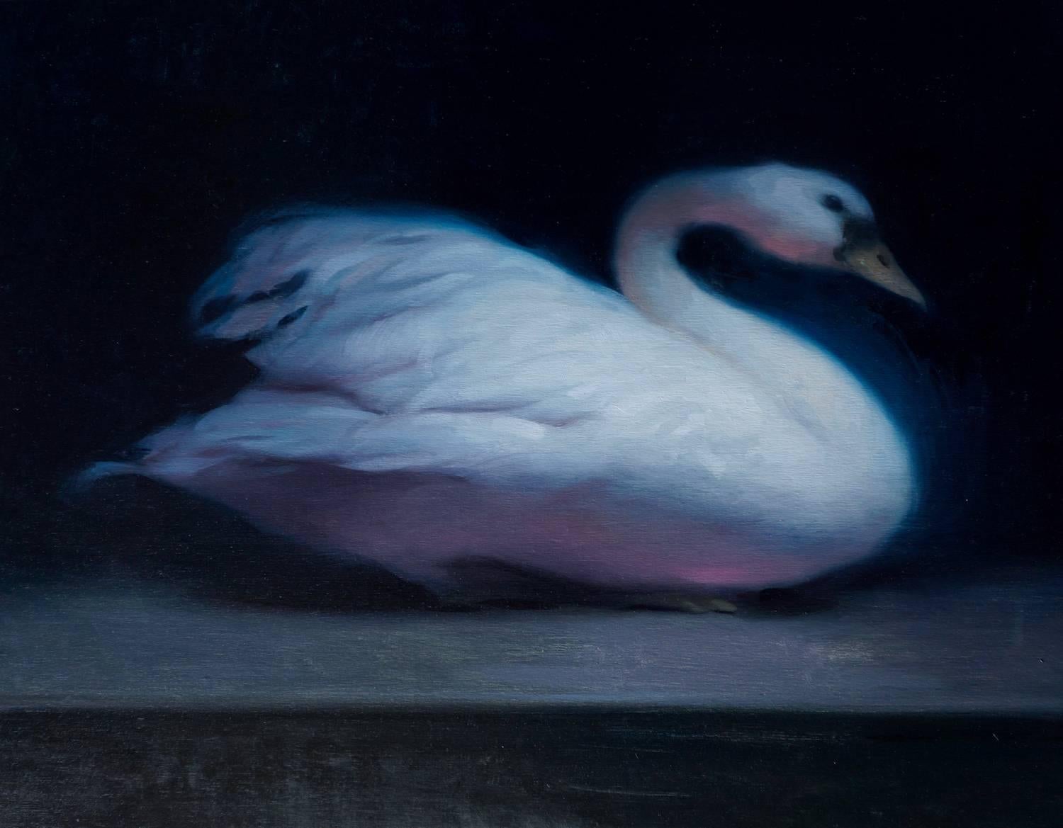 Stephen Bauman Animal Painting - Swan