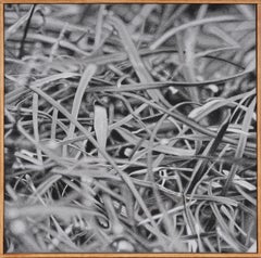 Vintage American Modernist Contemporary Super Realist Nature Abstract Painting