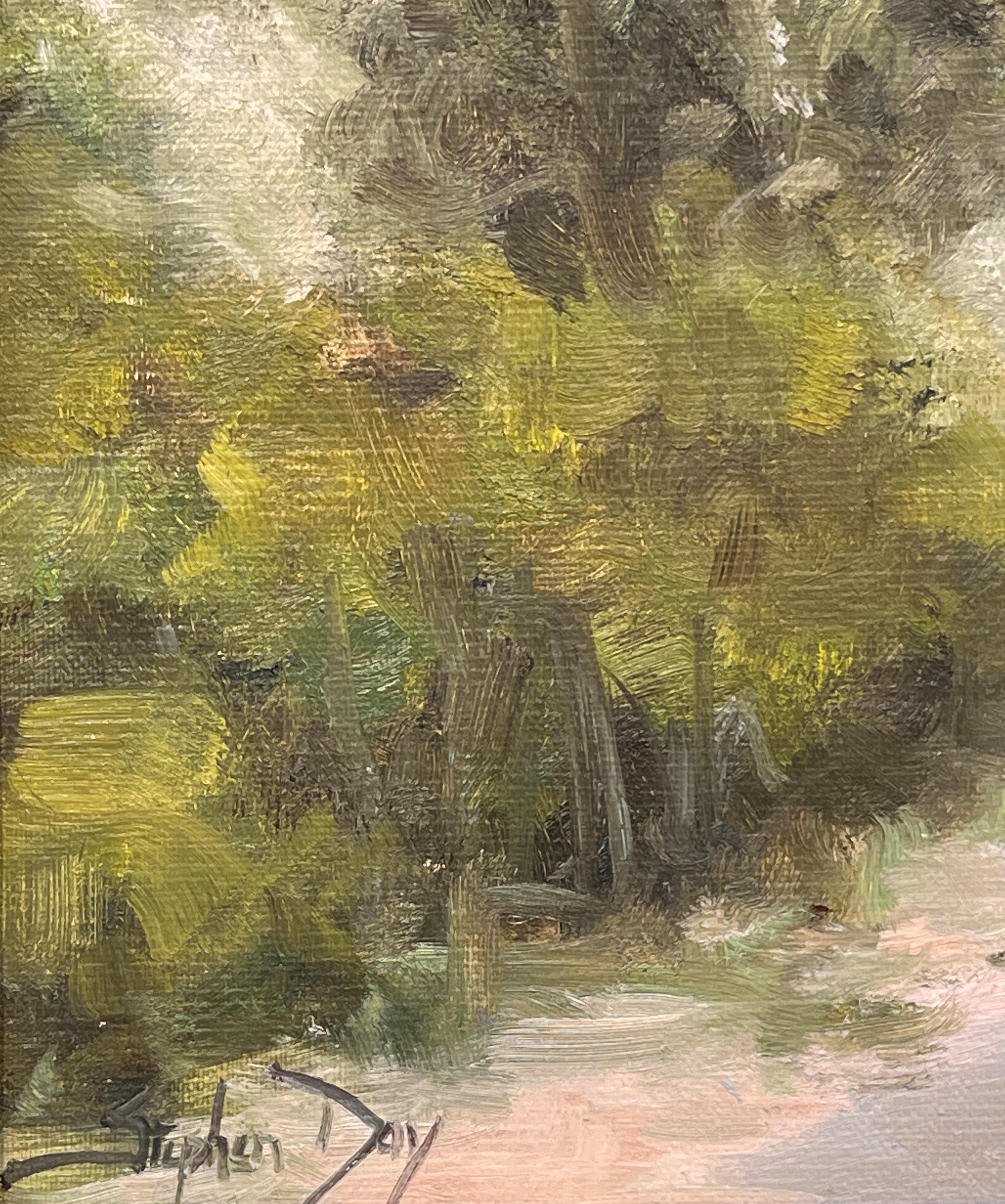 Boschi di cotone lungo la strada, 2017
