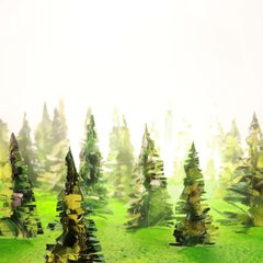 "Bosque brumoso (1/5)" (2019) de Stephen Dorsett, Foto acrílica