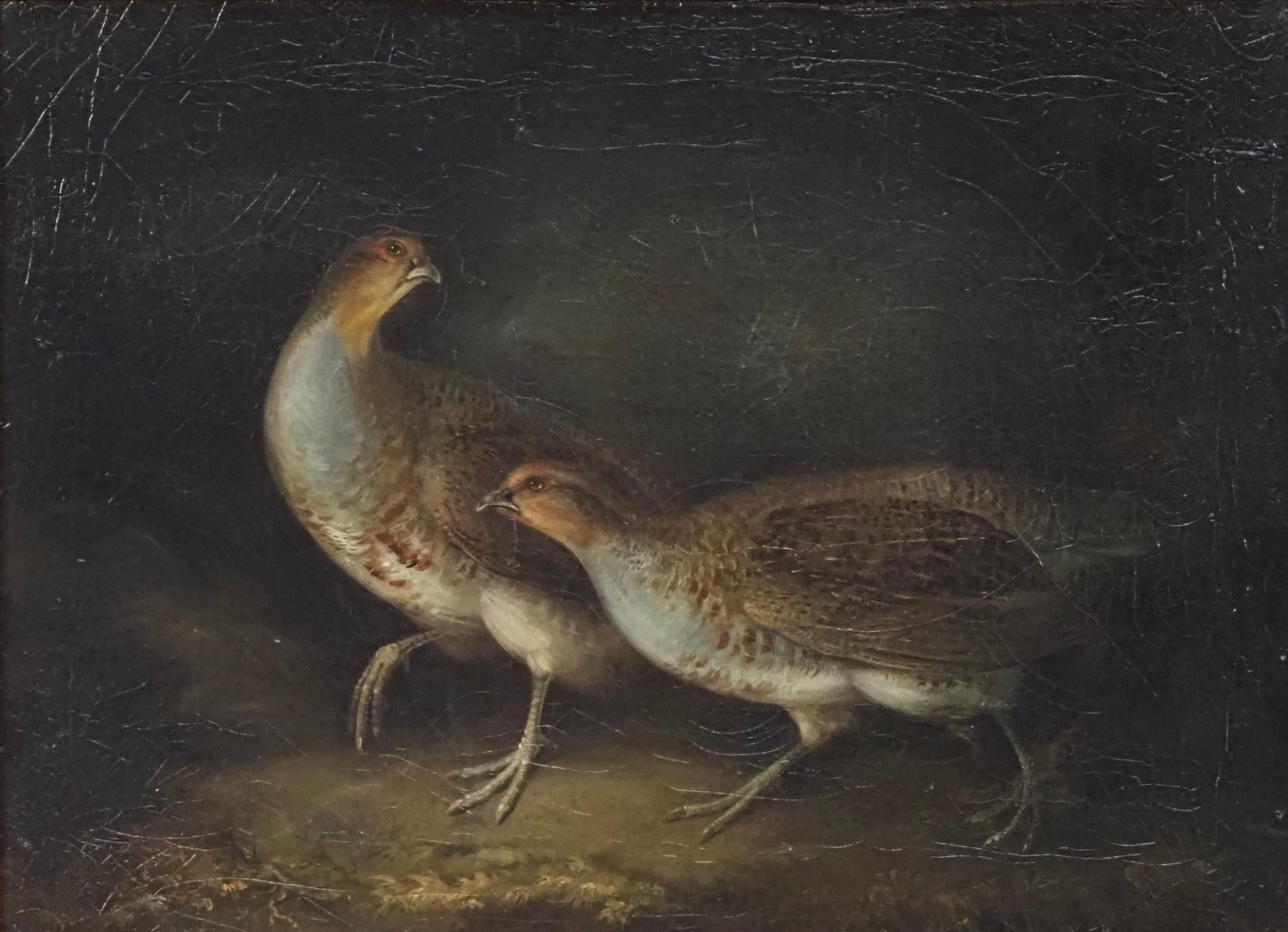 Two partridges in a woodland - Painting by Stephen Elmer