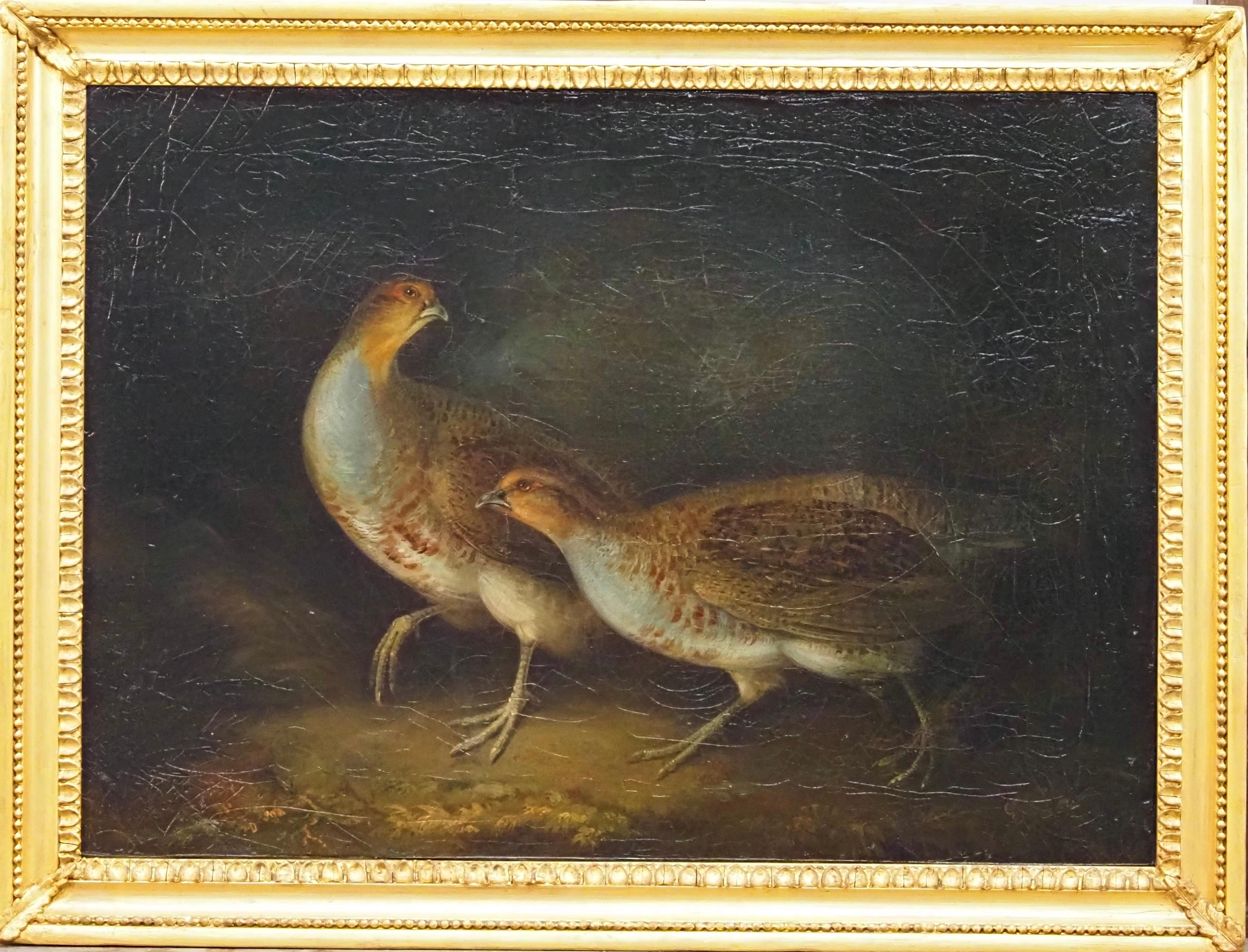 Stephen Elmer Animal Painting - Two partridges in a woodland