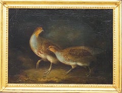 Two partridges in a woodland