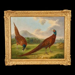 Two pheasants in a landscape