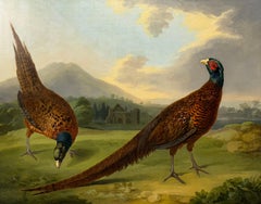 Two pheasants in a landscape