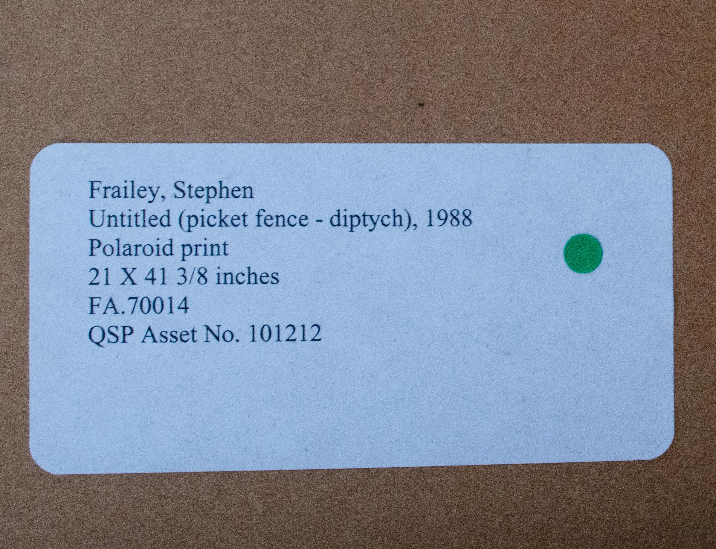 Stephen Frailey Diptych, Polaroid Prints, 1988 For Sale 2