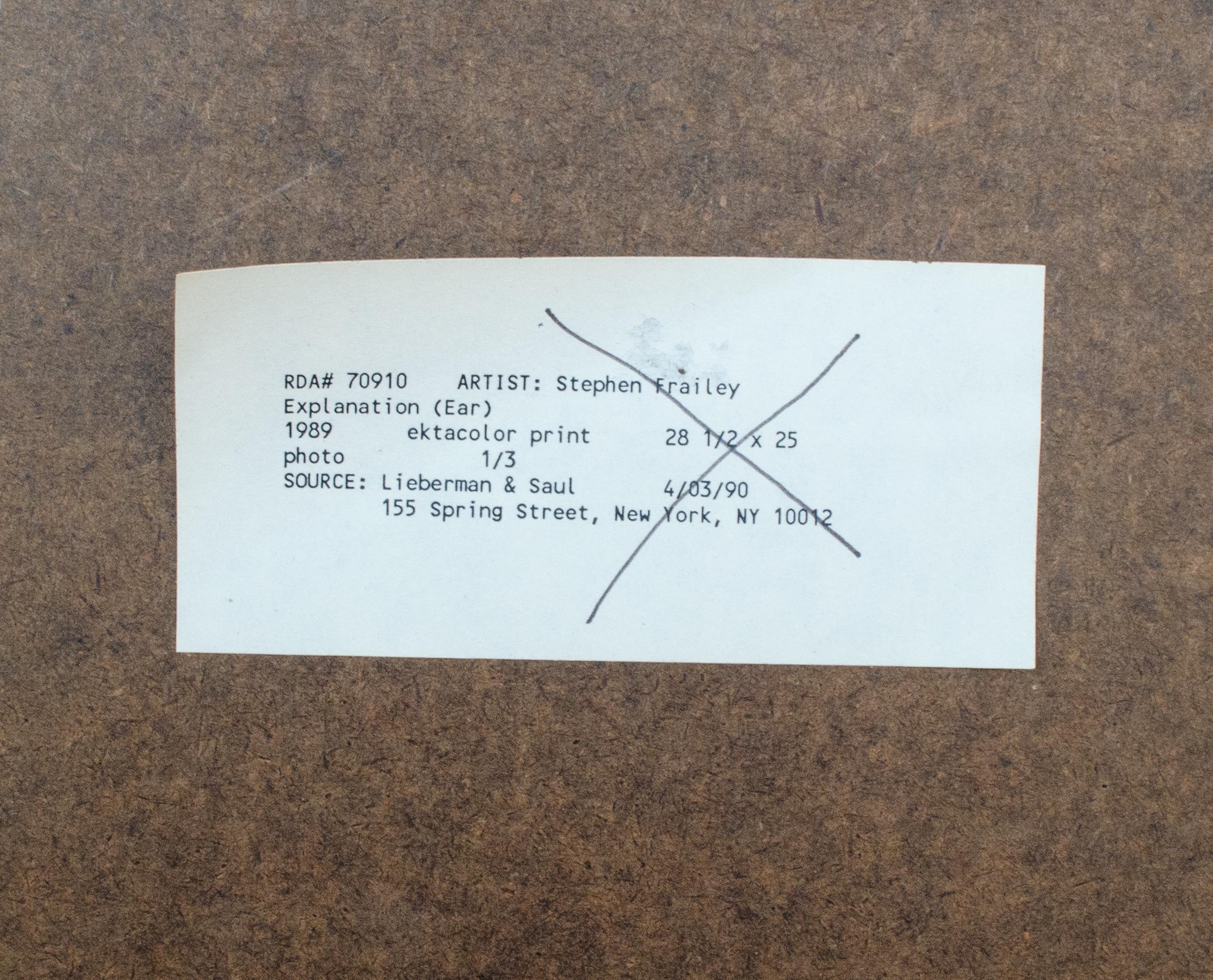 Ektacolor-Druck von Stephen Frailey, „Explanation“, 1989 im Angebot 5