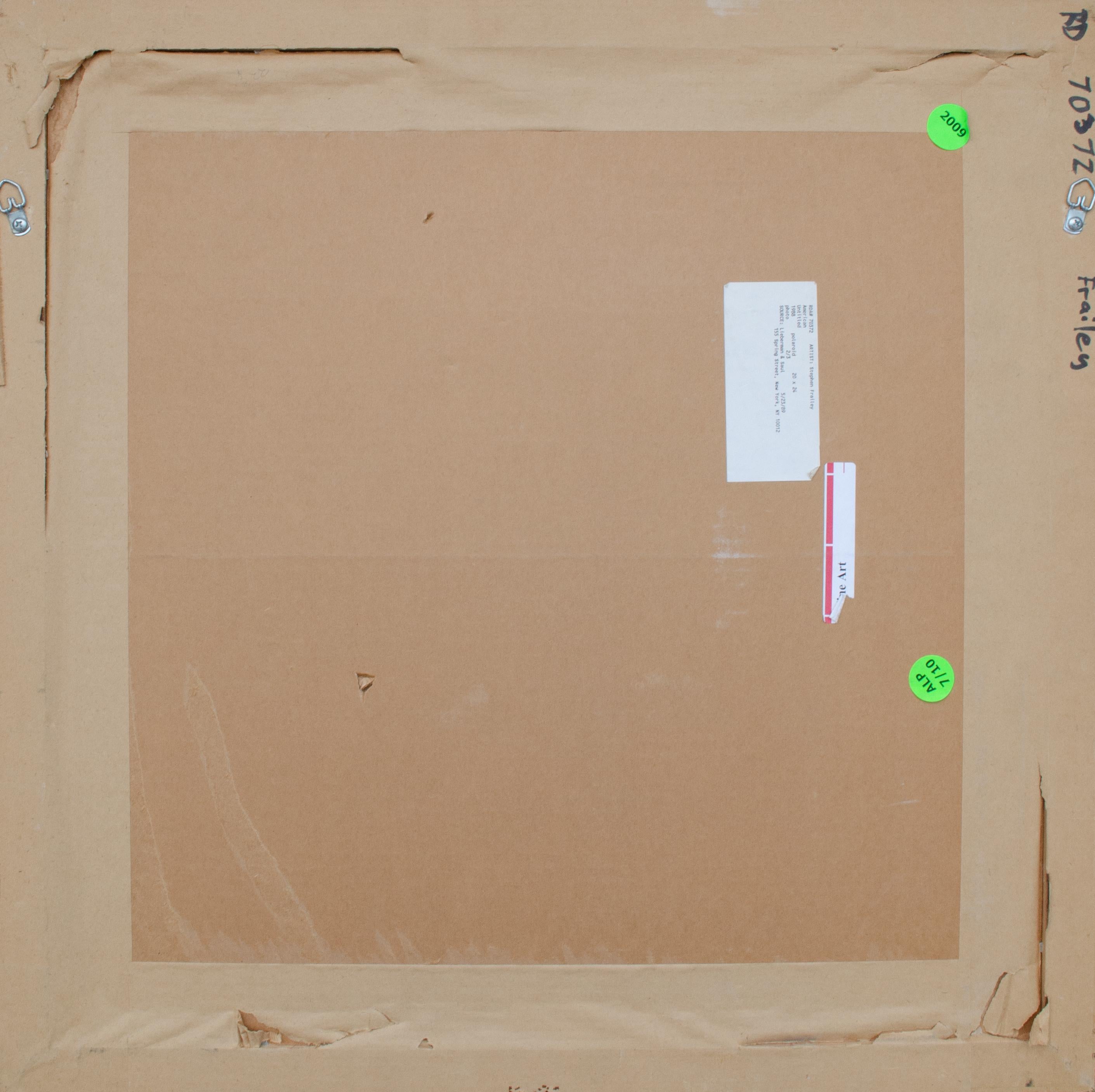 Stephen Frailey Polaroid Print, 1988 For Sale 1