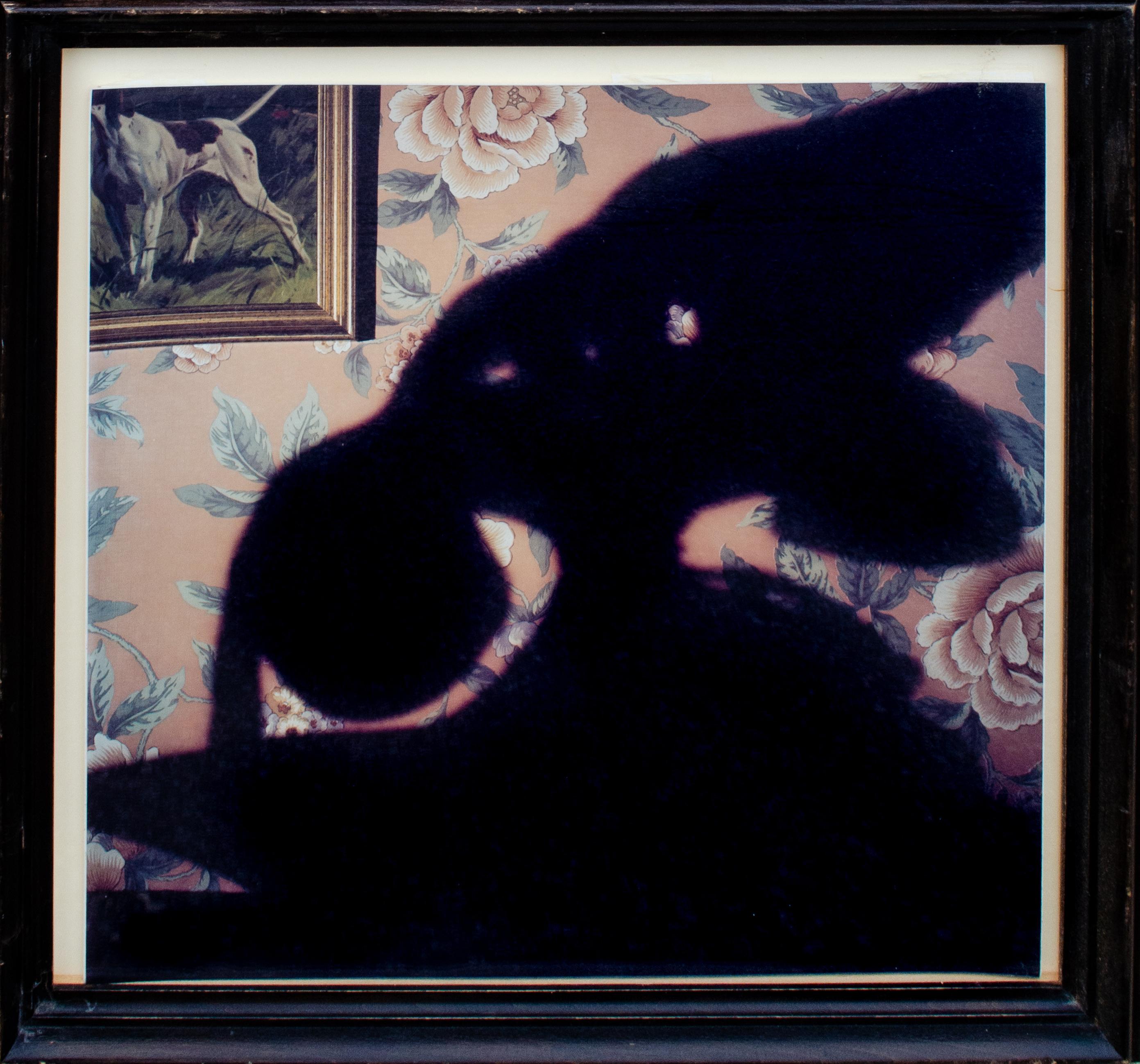 Stephen Frailey
Untitled, 1988
Polaroid print
Sight: 19 3/4 x 19 3/4 in.
Framed: 24 1/4 x 24 x 1 3/4 in. 
Edition 2/3

Provenance: 
Lieberman & Saul, New York

Stephen studied at the San Francisco Art Institute and received his BA from Bennington