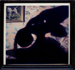 Impression polaroid Stephen Frailey, 1988
