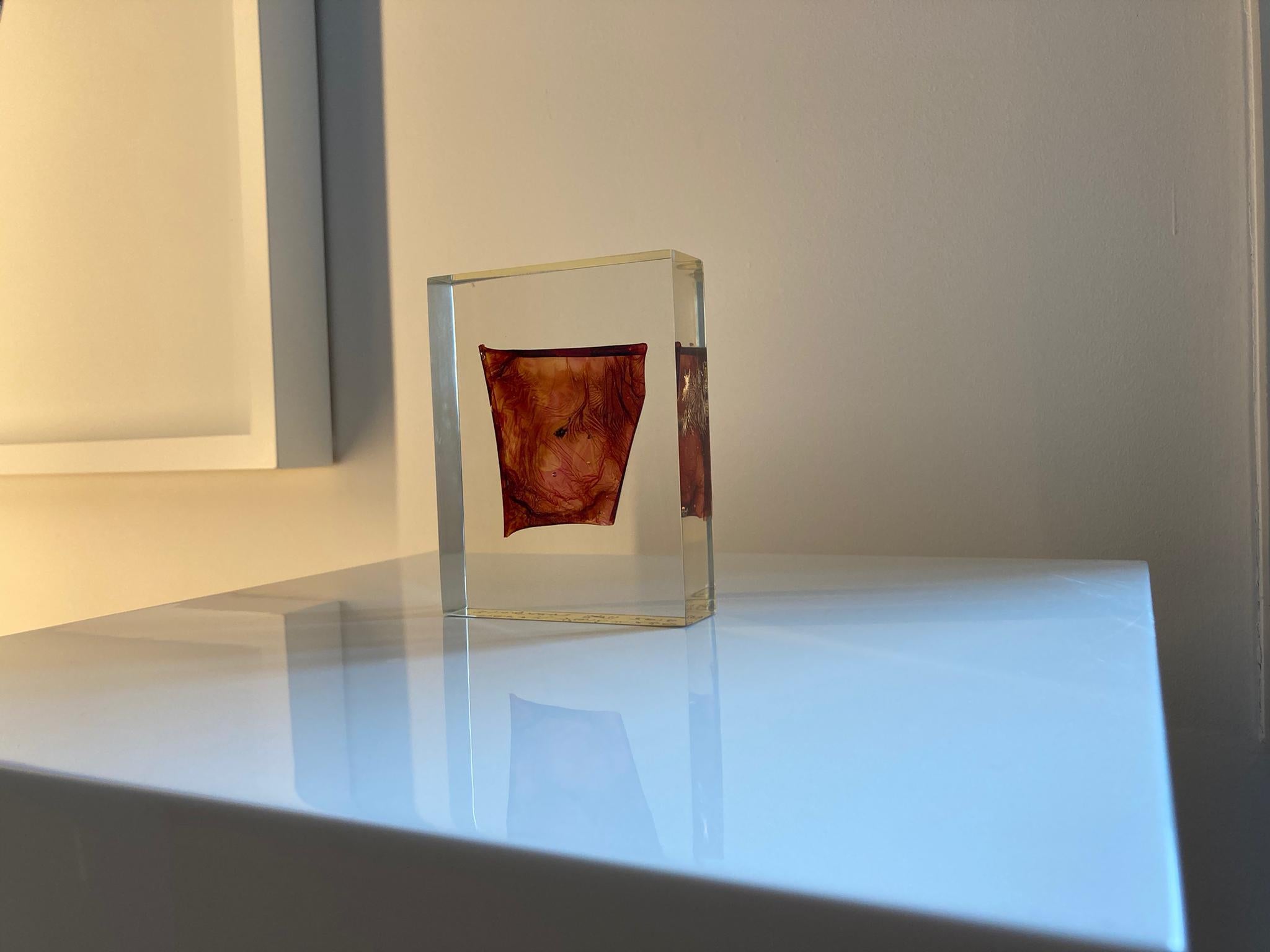 Campo de energía nº 260 - Stephen Gill, Color, Abstracto, Patrón, Fotografía, Arte en venta 5
