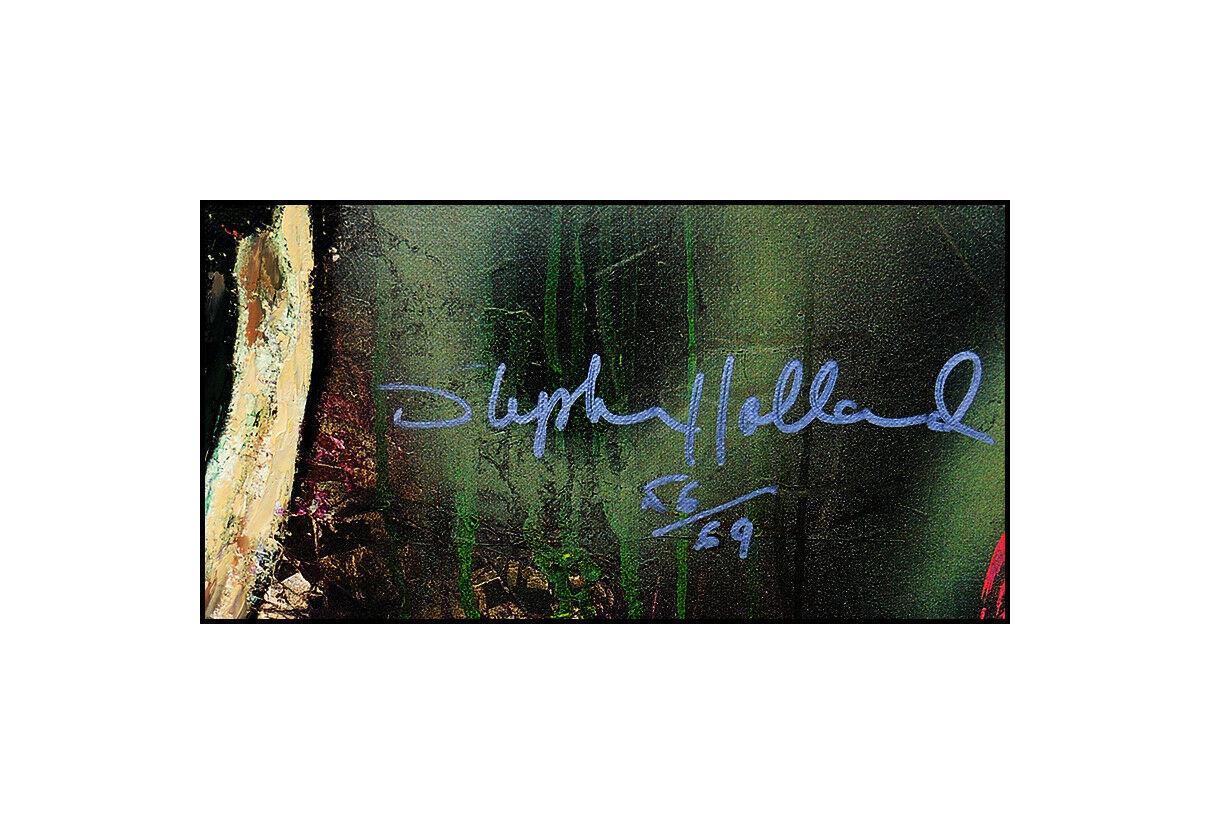 Stephen Holland Authentic & Original Hand Embellished Giclee on Canvas, Signed by Football  Legend Broadway Joe Namath, Professionally Custom Framed and listed with the Submit Best Offer option

Accepting Offers Now:  Up for sale here we have a