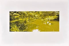 Equilibrio, paesaggio con acqua riflettente di Stephen Lawlor