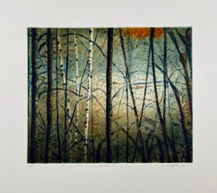 Betulle, di Stephen Lawlor