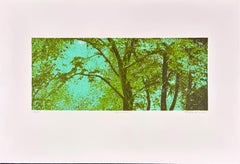 Shinkoku, ruhige bewaldete Landschaft  von Stephen Lawlor