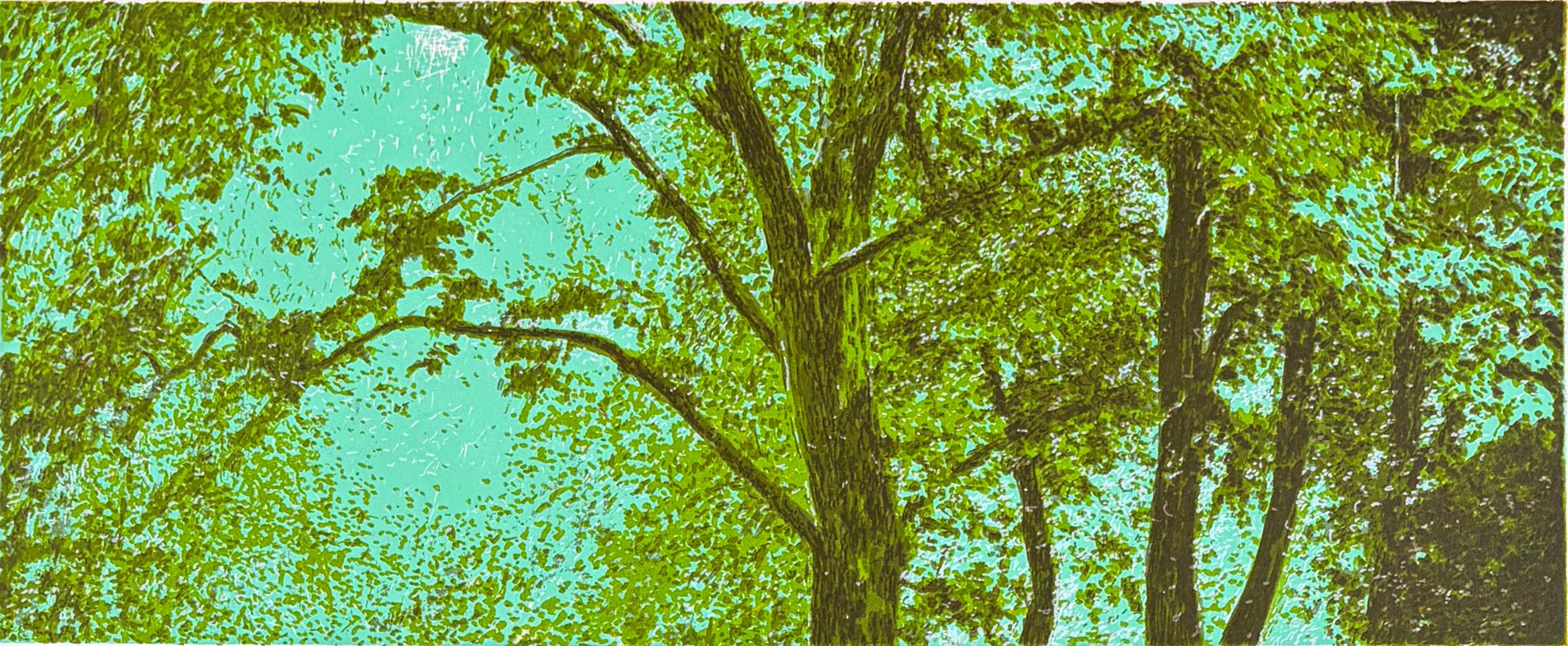 Shinkoku, Tranquil Wooded Landscape  by Stephen Lawlor