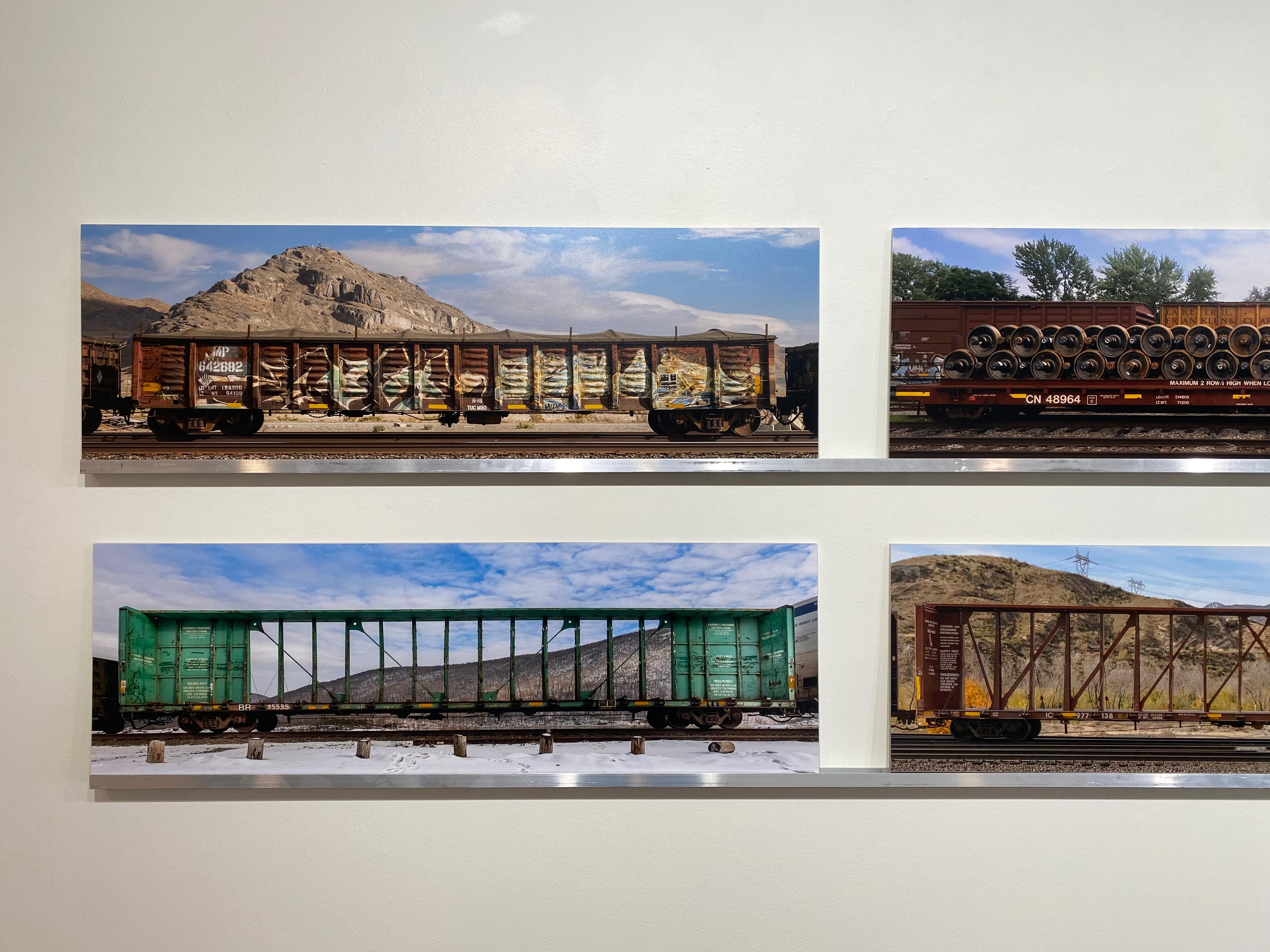 Passing Freight, Fotografía en color, Instalación multipanel - vagones de tren - Photograph de Stephen Mallon