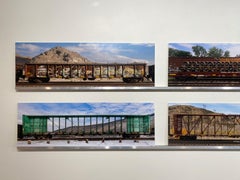 Passing Freight, Color Photograph, Multi-Panel Installation- railroad train cars