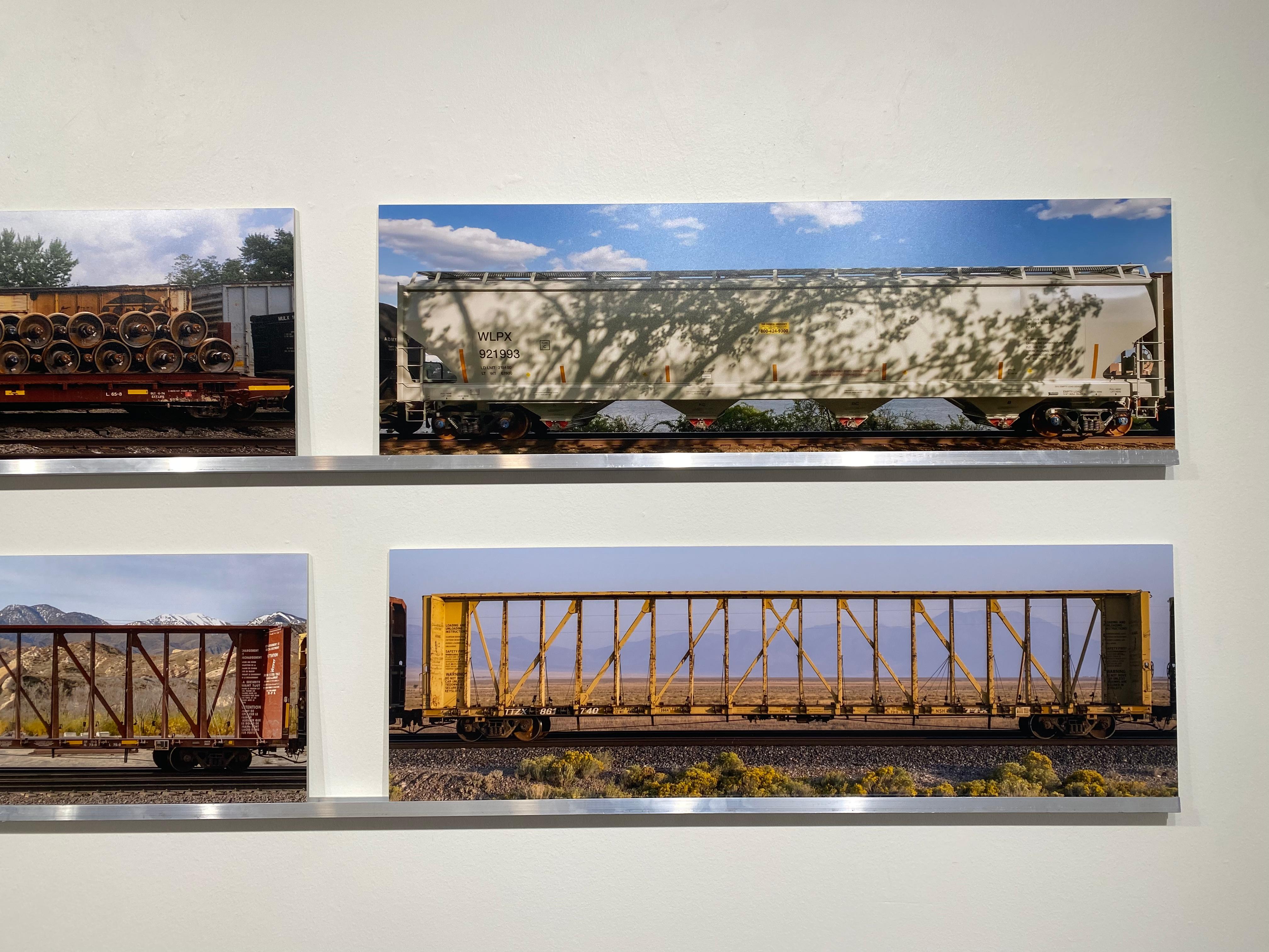 Passing Freight, Fotografía en color, Instalación multipanel - vagones de tren - Landscape Photograph Gris de Stephen Mallon