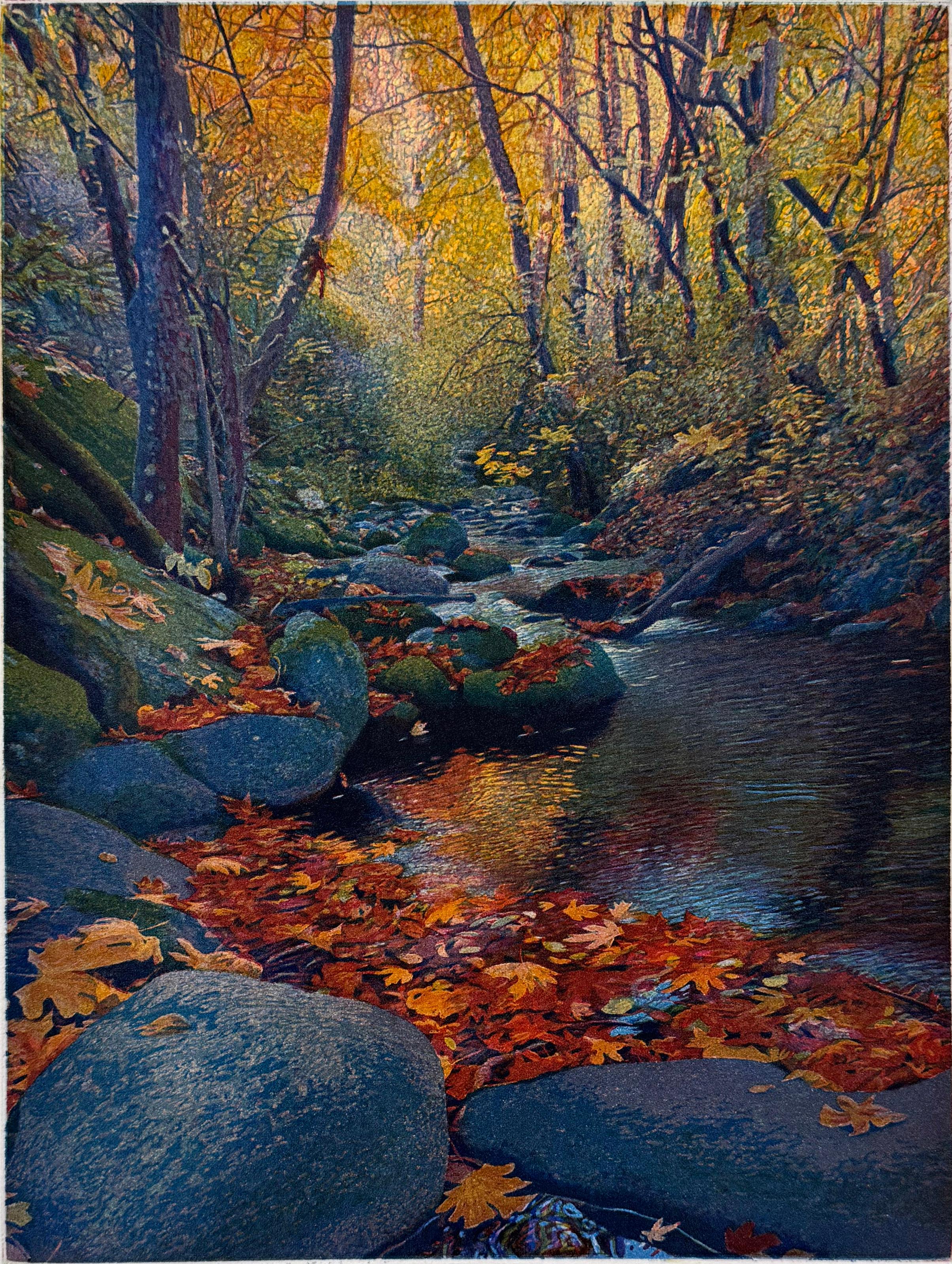 Signed, titled and numbered by the artist. 
Medium: etching and aquatint
Image size:  12 x 9 inches
Year: 2019

Fall colors in Lithia Park, Ashland OR

Born in Berkeley, California, on December 21, 1949, he was raised in a home that had a sweeping