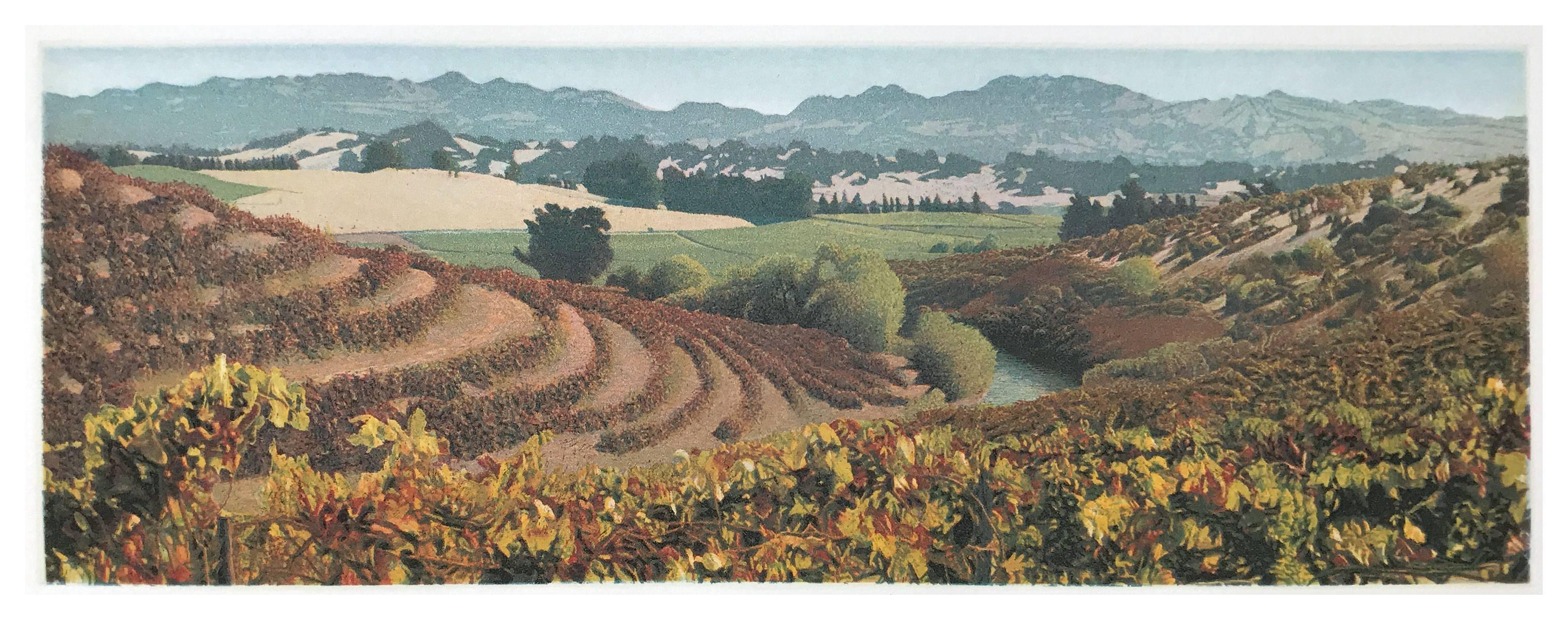 Stephen McMillan Landscape Print - Autumn