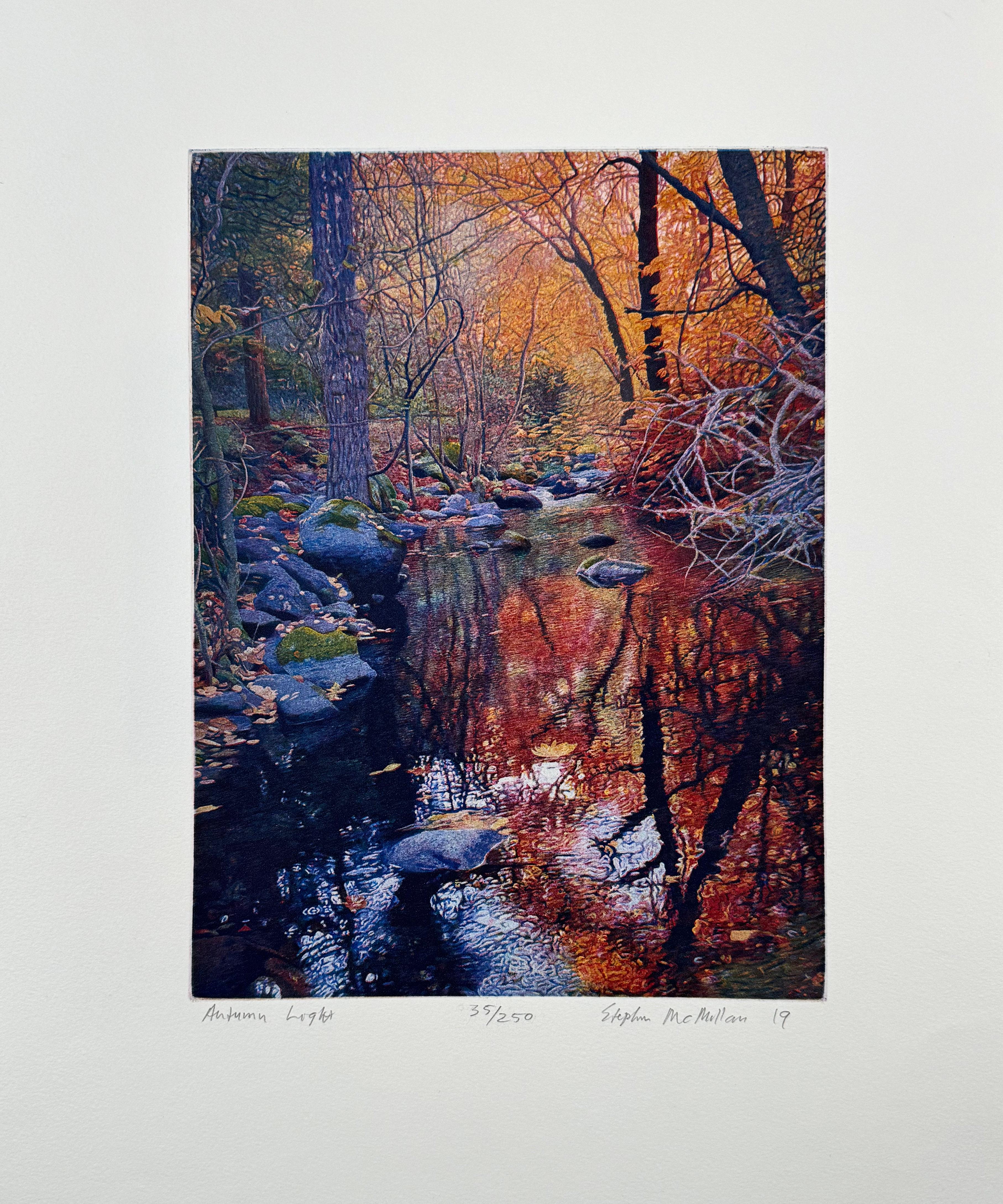 Autumn Light, by Stephen McMillan For Sale 1