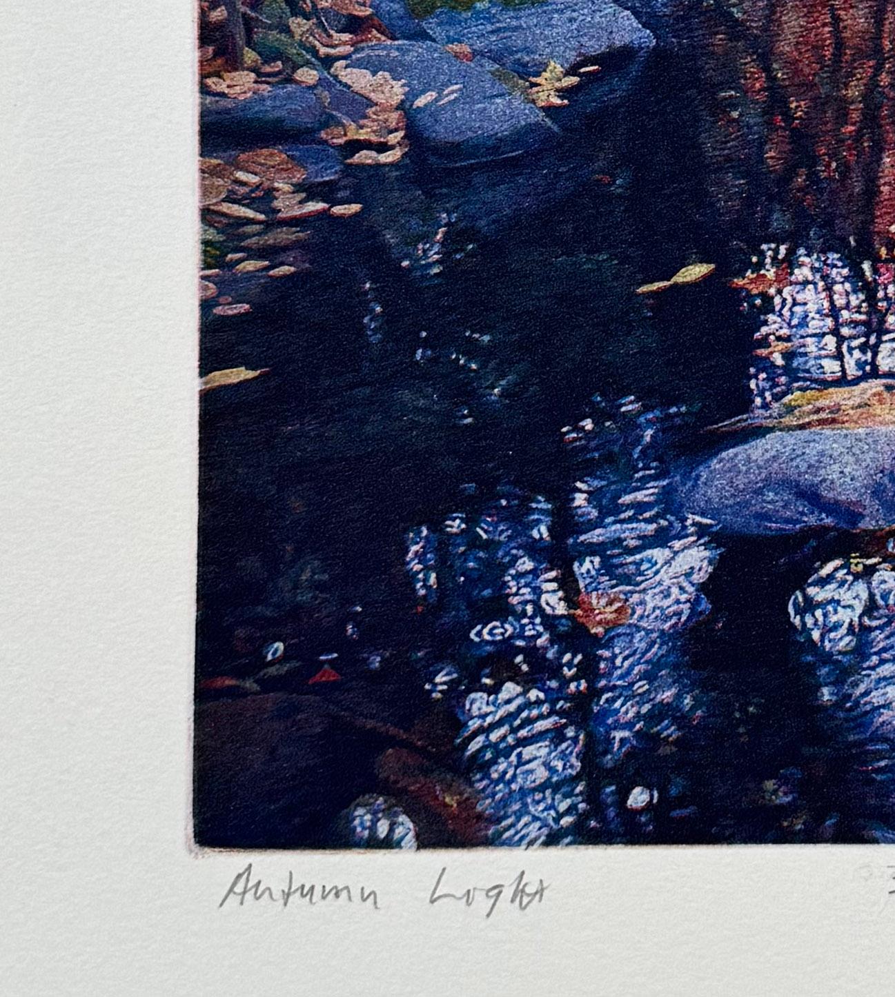 Autumn Light, by Stephen McMillan For Sale 1