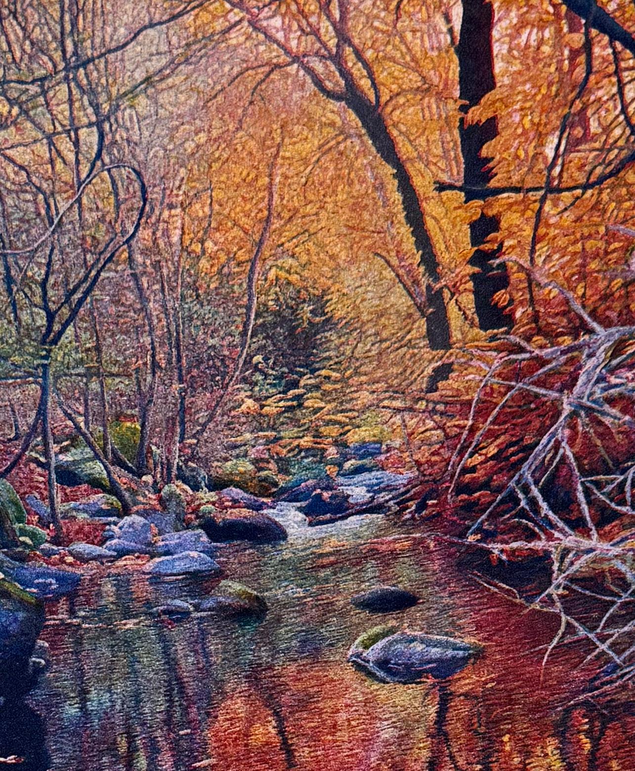 Autumn Light, by Stephen McMillan For Sale 4