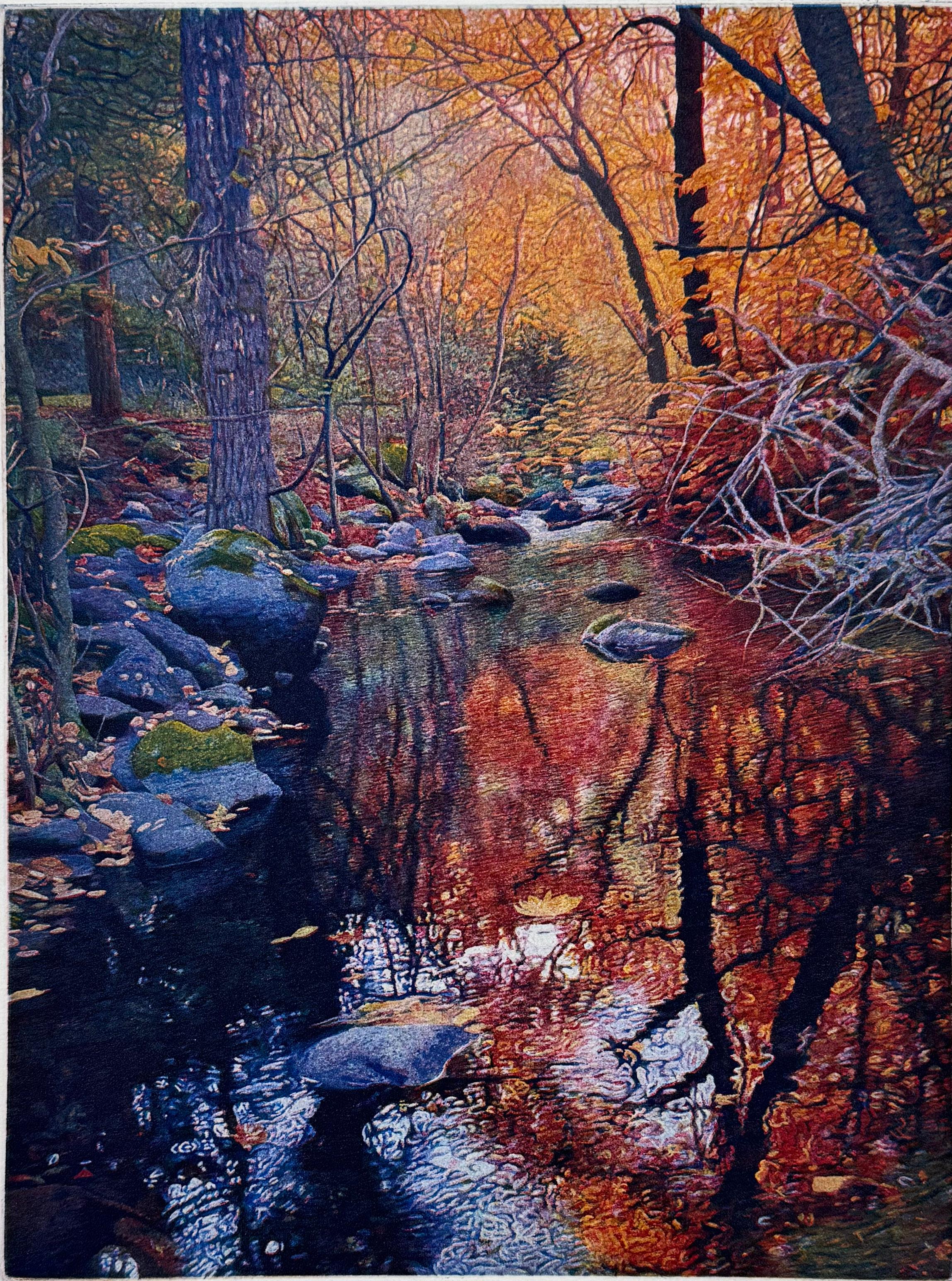 Signed, titled and numbered by the artist. 
Medium: etching and aquatint
Image size:  12 x 9 inches
Year: 2019

Fall colors along Ashland Creek in Lithia Park. 

Born in Berkeley, California, on December 21, 1949, he was raised in a home that had a