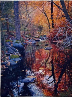 Herbstlicht, von Stephen McMillan