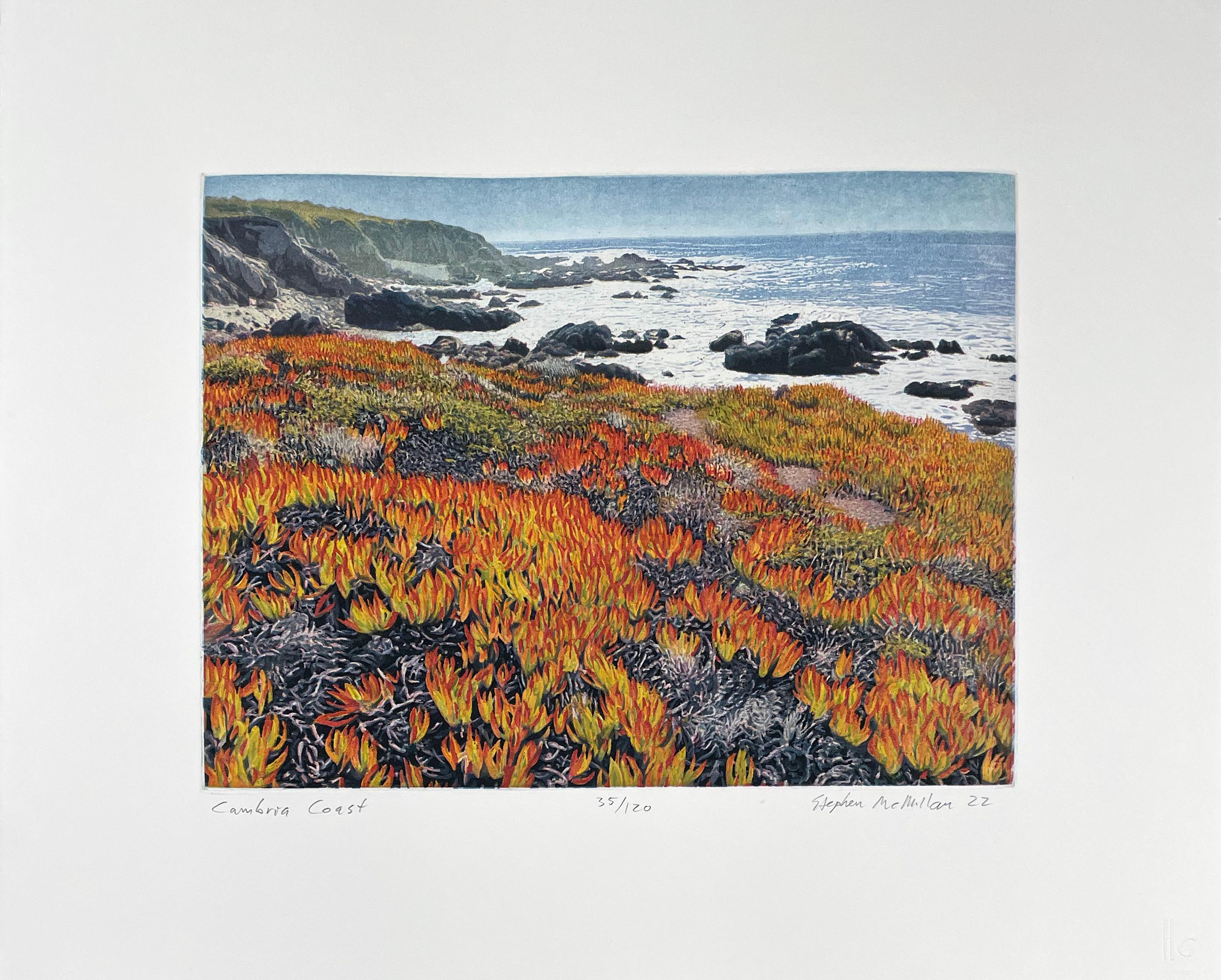 Costa de Cambria, por Stephen McMillan en venta 1