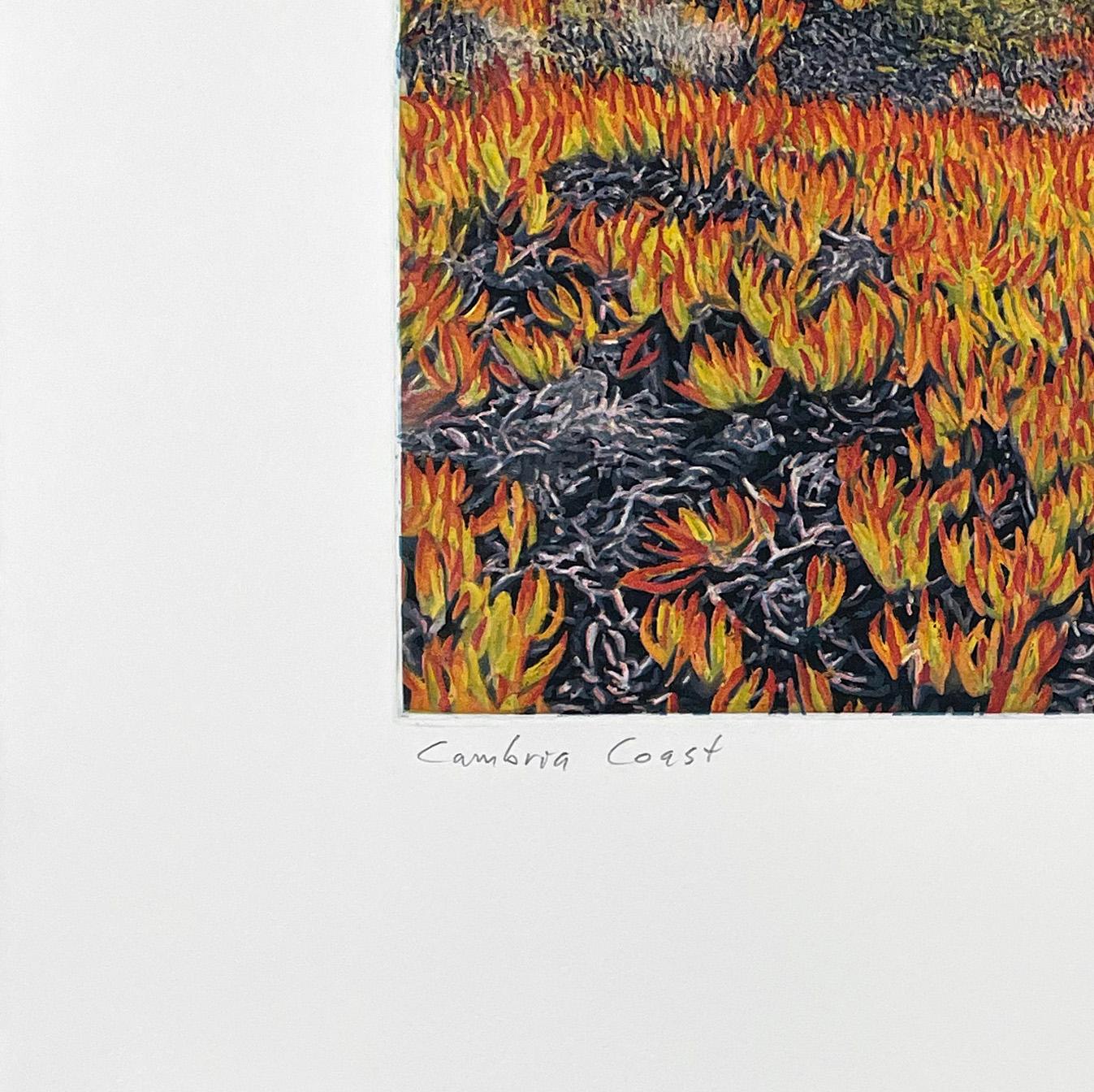 Costa de Cambria, por Stephen McMillan en venta 2