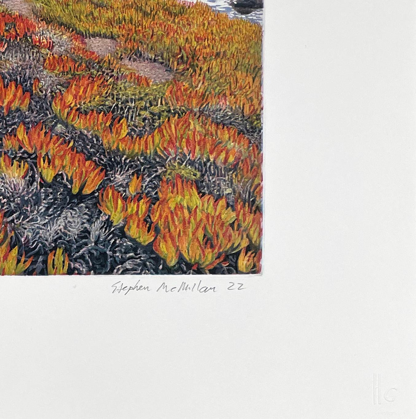 Costa de Cambria, por Stephen McMillan en venta 3
