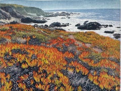 Costa de Cambria, por Stephen McMillan