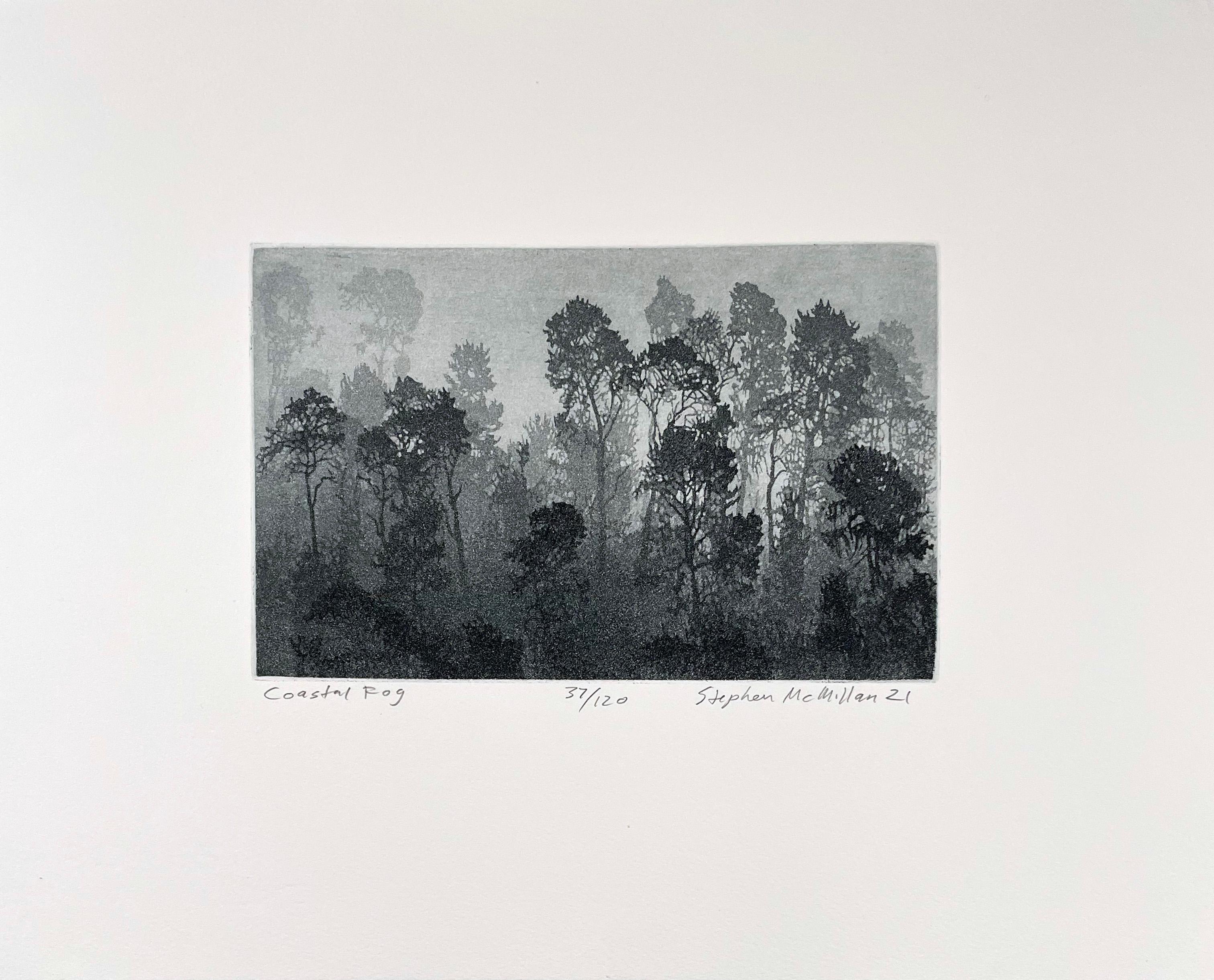 Coastal Fog - Print by Stephen McMillan