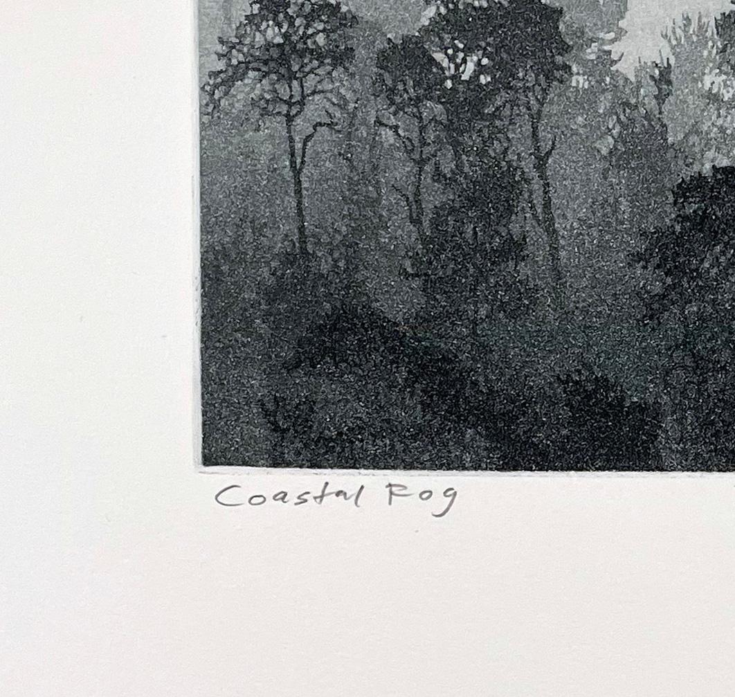 Coastal Fog - Contemporary Print by Stephen McMillan