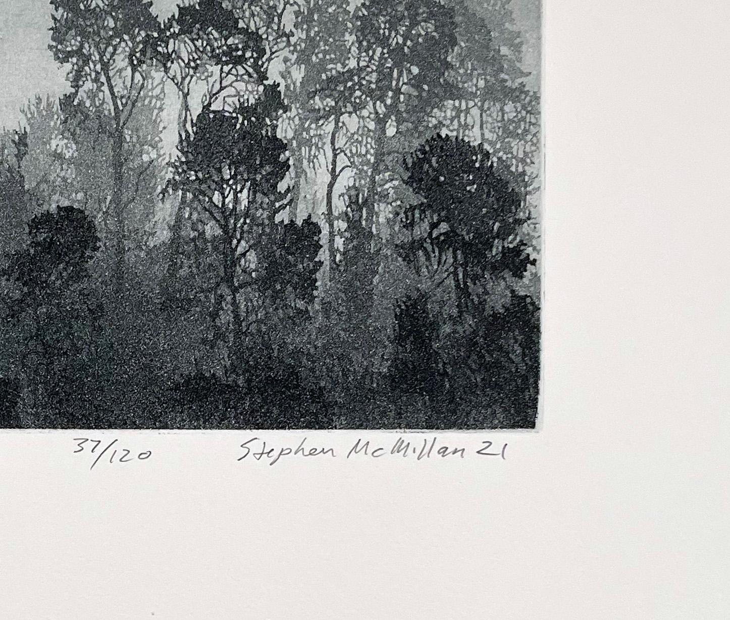 Coastal Fog - Gray Landscape Print by Stephen McMillan