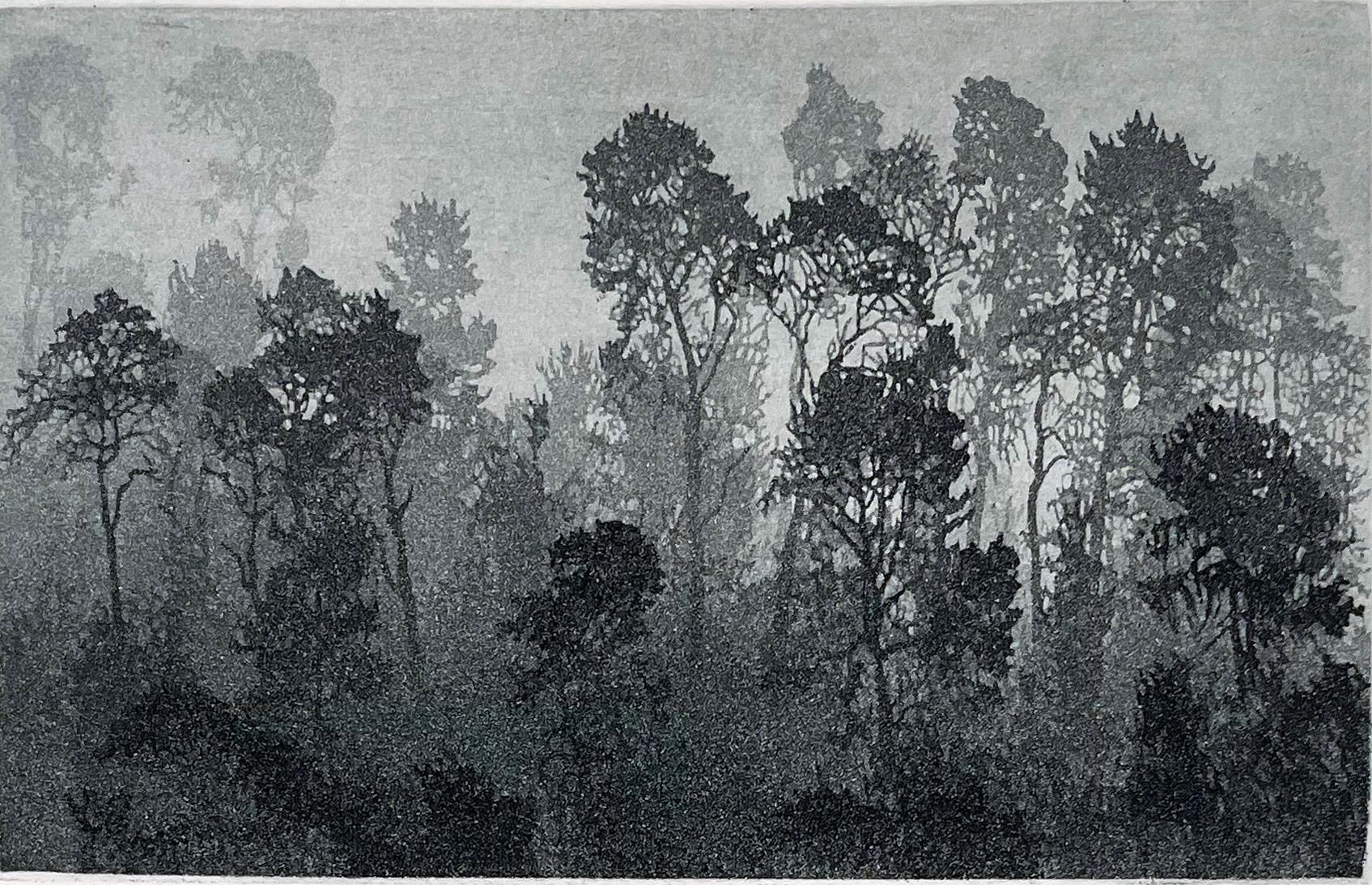 Stephen McMillan Landscape Print - Coastal Fog