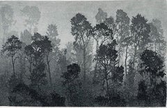 Coastal Fog