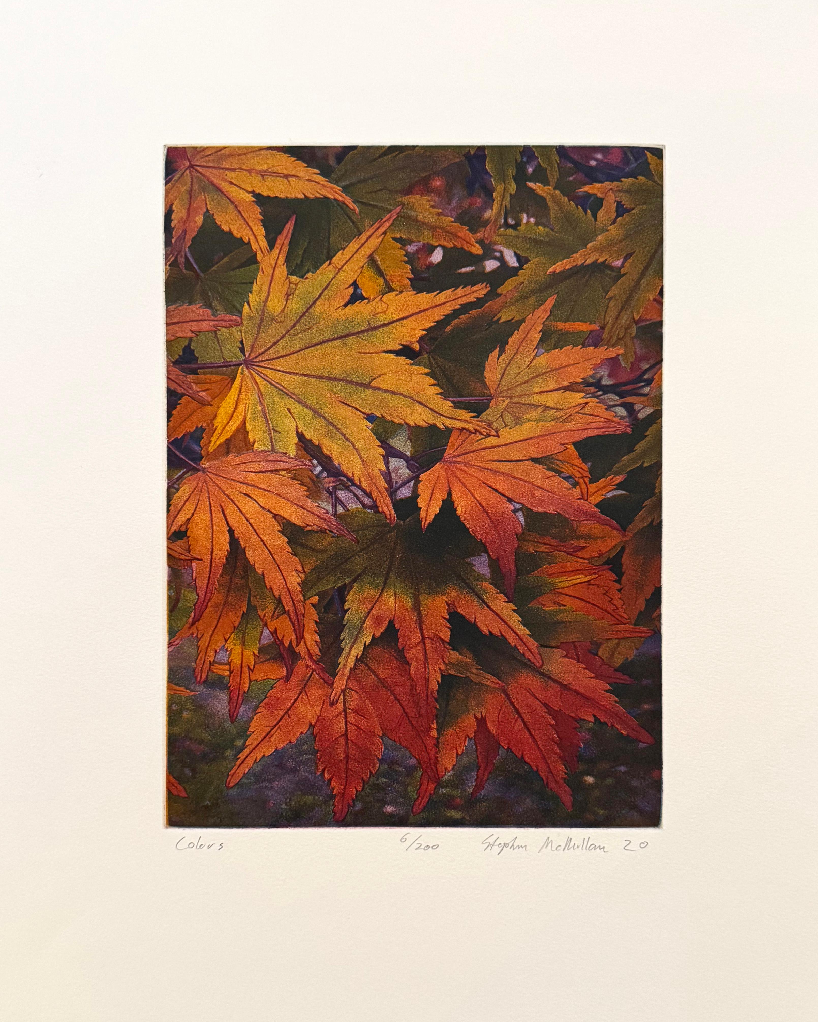 Colors, by Stephen McMillan For Sale 1