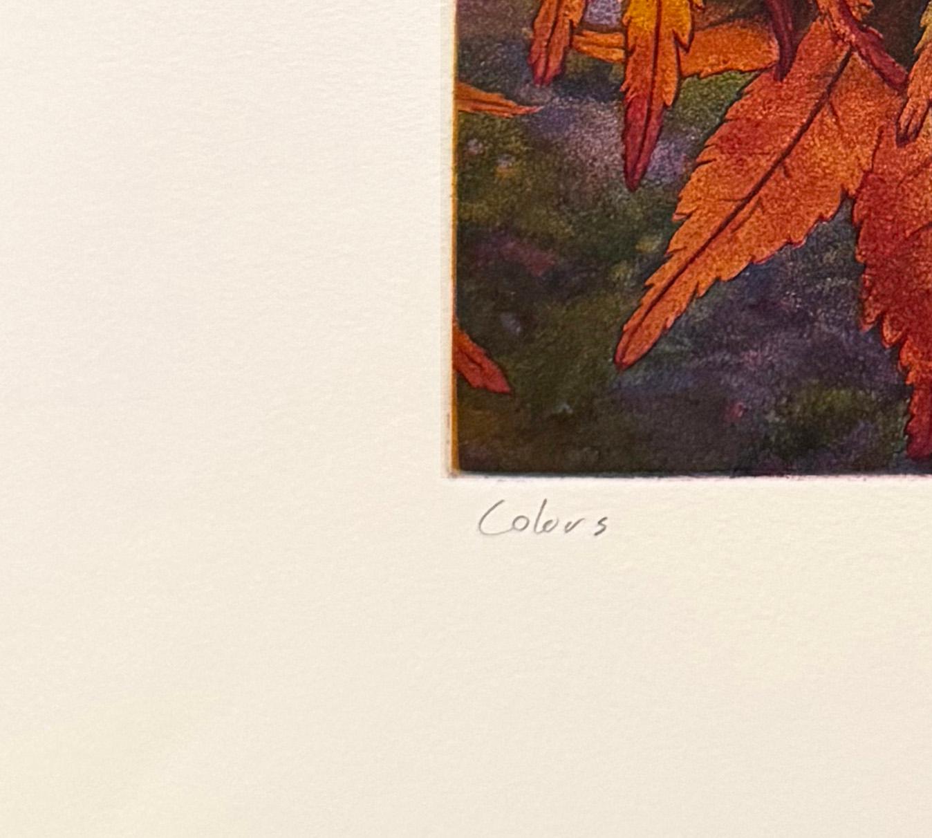 Colors, by Stephen McMillan For Sale 2