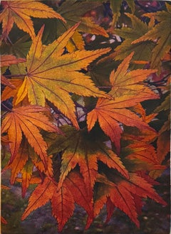 Farben, von Stephen McMillan
