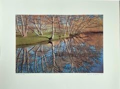 Creekside, etching of trees reflected in water, by Stephen McMillan